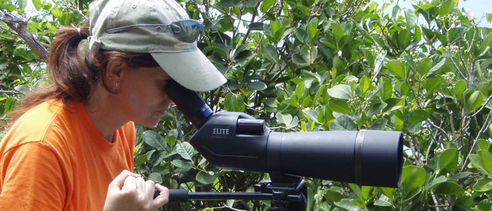 Dr Michelle Christy is heaing up a new national response team that will be looking at keeping dangerous mammals, birds, reptiles, amphibians and fish out of Australia.