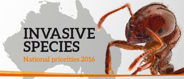 cnt-national-priorities-2016