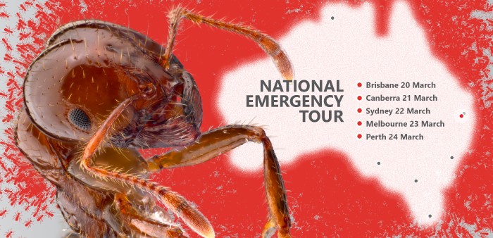 Fire Ants Down Under - our national emergency tour is on