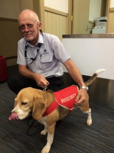 Norfolk Island’s main biosecurity defences: Department of Agriculture and Water Resources biosecurity officer, Snowy, with Dawson, the quarantine detector dog.