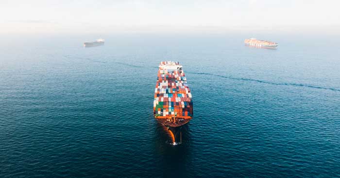 One idea to increase funding for environmental biosecurity includes a $5 levy on air containers, $10 on shipping containers. Photo: Dirk Dallas | CC BY-NC 2.0