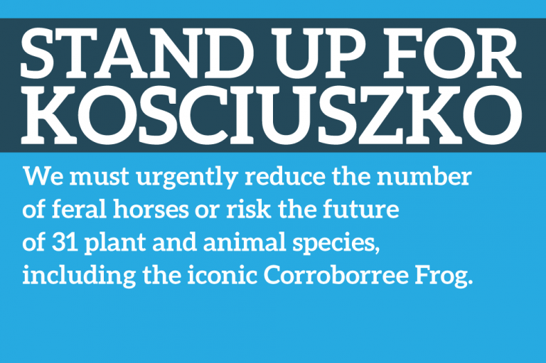 Stand-up-for-Kosciuszko-feature-2