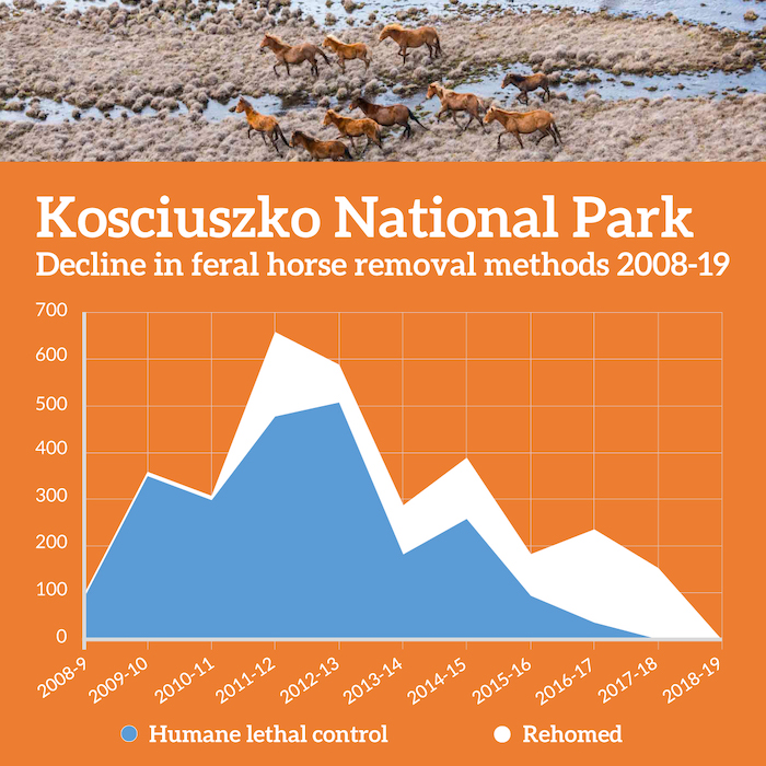 Kosciuszko National Park decline in feral horse removal methods 2008-19
