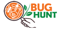 Bug Hunt