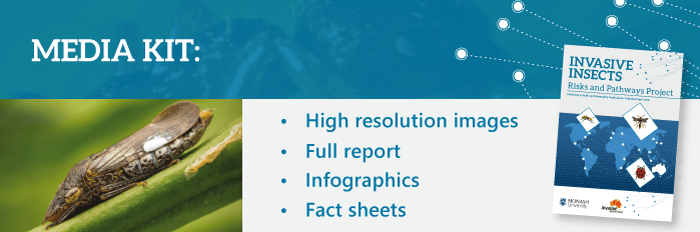Media kit: Invasive insects report