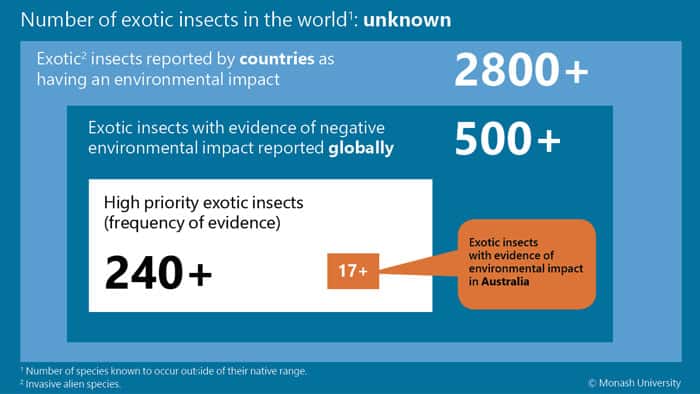 The process for refining the global species pool of invasive insect species.