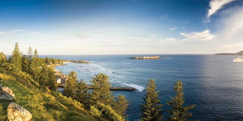 Cruise ships are one of several pathways by which new invasive species can reach Norfolk Island. Photo: Thomas Huxley | CC BY-ND 2.0