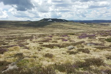 Bogong High Plains