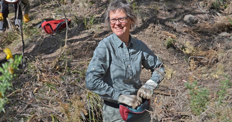 A volunteer clears out gorse with the Friends of Knocklofty Bushcare group.