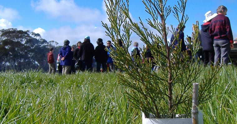 Landscape restoration in Victoria.