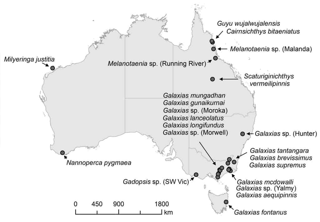 Approximate locations of each of Australia’s 22 most imperilled freshwater fishes.