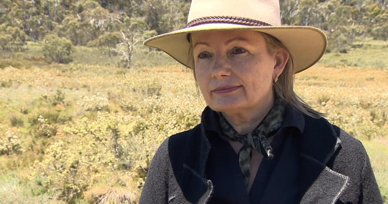 Australian environment minister Sussan Ley