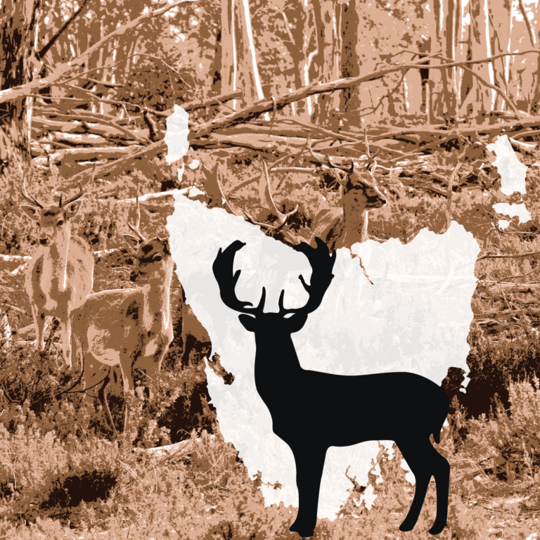Tasmania wildlife protection must be lifted