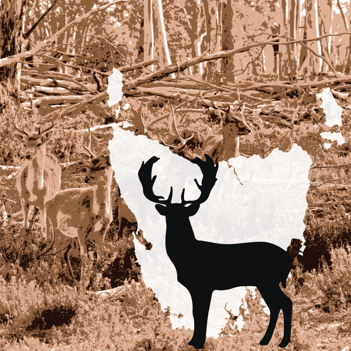 Tasmania wildlife protection must be lifted