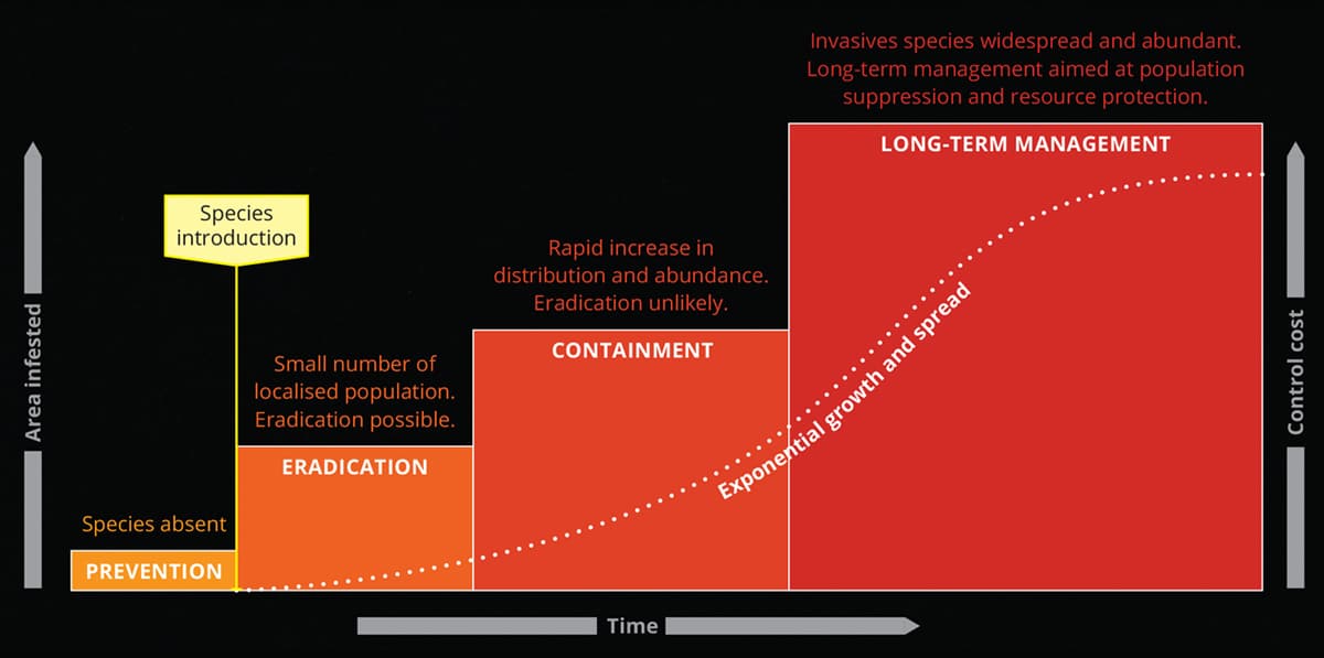 Invasion curve