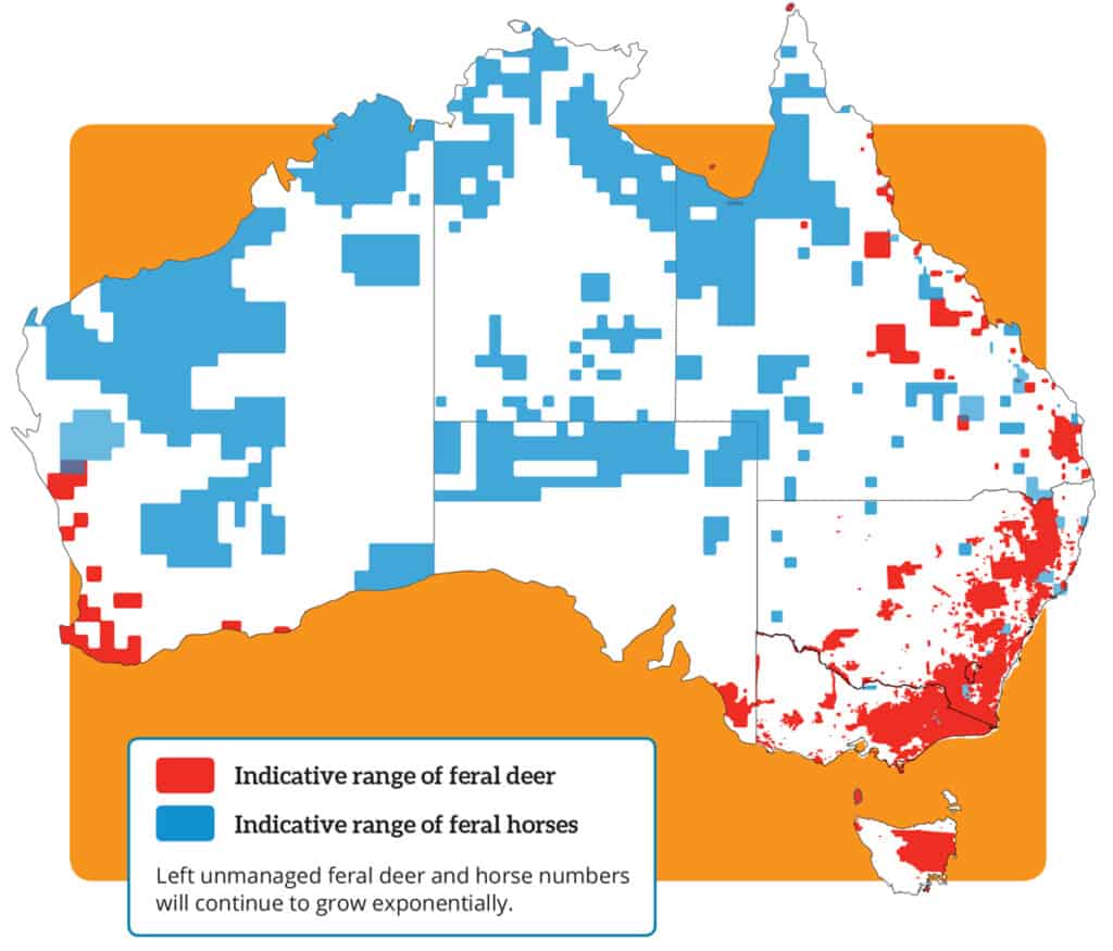 Map: Feral deer and horse distribution across Australia.