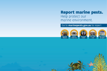 Report marine pests - NBCEN